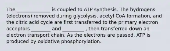 The ______________ is coupled to ATP synthesis. The hydrogens (electrons) removed during glycolysis, acetyl CoA formation, and the citric acid cycle are first transferred to the primary electron acceptors ________ and _________ , then transferred down an electron transport chain. As the electrons are passed, ATP is produced by oxidative phosphorylation.