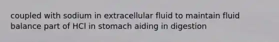 coupled with sodium in extracellular fluid to maintain fluid balance part of HCl in stomach aiding in digestion