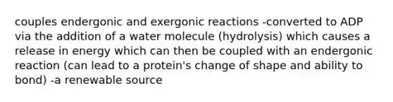 couples endergonic and exergonic reactions -converted to ADP via the addition of a water molecule (hydrolysis) which causes a release in energy which can then be coupled with an endergonic reaction (can lead to a protein's change of shape and ability to bond) -a renewable source