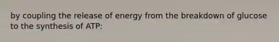 by coupling the release of energy from the breakdown of glucose to the synthesis of ATP: