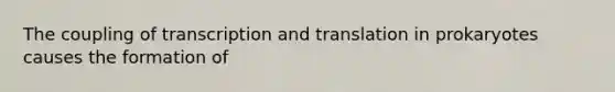 The coupling of transcription and translation in prokaryotes causes the formation of