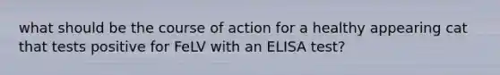 what should be the course of action for a healthy appearing cat that tests positive for FeLV with an ELISA test?