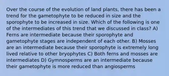 Over the course of the evolution of land plants, there has been a trend for the gametophyte to be reduced in size and the sporophyte to be increased in size. Which of the following is one of the intermediates of this trend that we discussed in class? A) Ferns are intermediate because their sporophyte and gametophyte stages are independent of each other. B) Mosses are an intermediate because their sporophyte is extremely long lived relative to other bryophytes C) Both ferns and mosses are intermediates D) Gymnosperms are an intermediate because their gametophyte is more reduced than angiosperms