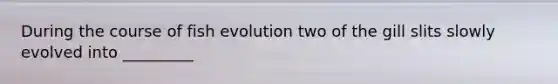 During the course of fish evolution two of the gill slits slowly evolved into _________