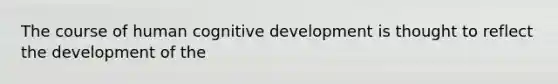 The course of human cognitive development is thought to reflect the development of the