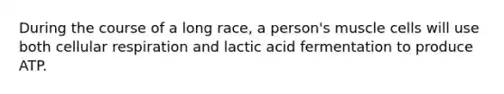 During the course of a long race, a person's muscle cells will use both <a href='https://www.questionai.com/knowledge/k1IqNYBAJw-cellular-respiration' class='anchor-knowledge'>cellular respiration</a> and lactic acid fermentation to produce ATP.