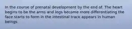 In the course of prenatal development by the end of. The heart begins to be the arms and legs become more differentiating the face starts to form in the intestinal track appears in human beings