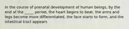 In the course of prenatal development of human beings, by the end of the _____ period, the heart begins to beat, the arms and legs become more differentiated, the face starts to form, and the intestinal tract appears