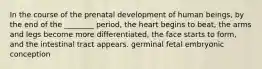 In the course of the prenatal development of human beings, by the end of the ________ period, the heart begins to beat, the arms and legs become more differentiated, the face starts to form, and the intestinal tract appears. germinal fetal embryonic conception