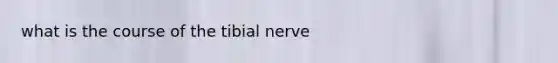 what is the course of the tibial nerve