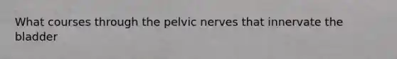 What courses through the pelvic nerves that innervate the bladder