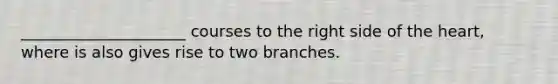 _____________________ courses to the right side of the heart, where is also gives rise to two branches.