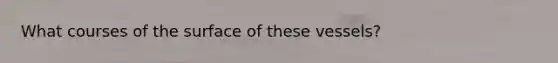 What courses of the surface of these vessels?