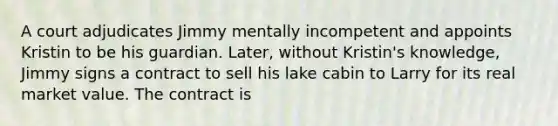 A court adjudicates Jimmy mentally incompetent and appoints Kristin to be his guardian. Later, without Kristin's knowledge, Jimmy signs a contract to sell his lake cabin to Larry for its real market value. The contract is