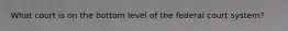 What court is on the bottom level of the federal court system?