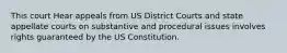 This court Hear appeals from US District Courts and state appellate courts on substantive and procedural issues involves rights guaranteed by the US Constitution.