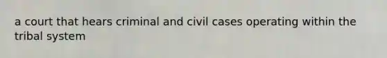 a court that hears criminal and civil cases operating within the tribal system