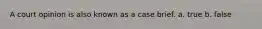 A court opinion is also known as a case brief. a. true b. false