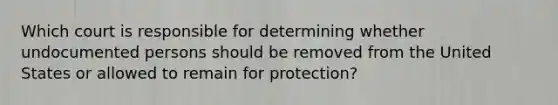 Which court is responsible for determining whether undocumented persons should be removed from the United States or allowed to remain for protection?