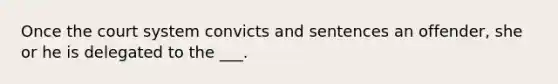 Once the court system convicts and sentences an offender, she or he is delegated to the ___.