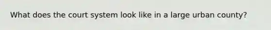 What does the court system look like in a large urban county?