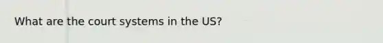 What are the court systems in the US?