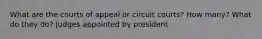 What are the courts of appeal or circuit courts? How many? What do they do? Judges appointed by president