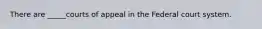 There are _____courts of appeal in the Federal court system.