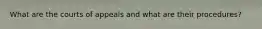 What are the courts of appeals and what are their procedures?