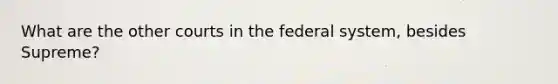 What are the other courts in the federal system, besides Supreme?