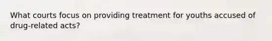 What courts focus on providing treatment for youths accused of drug-related acts?