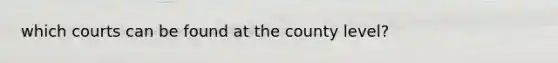 which courts can be found at the county level?