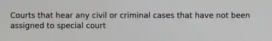 Courts that hear any civil or criminal cases that have not been assigned to special court