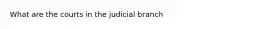 What are the courts in the judicial branch