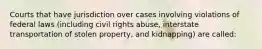 Courts that have jurisdiction over cases involving violations of federal laws (including civil rights abuse, interstate transportation of stolen property, and kidnapping) are called: