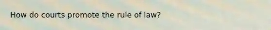 How do courts promote the rule of law?