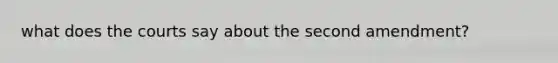 what does the courts say about the second amendment?