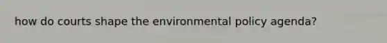 how do courts shape the environmental policy agenda?