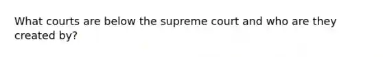 What courts are below the supreme court and who are they created by?