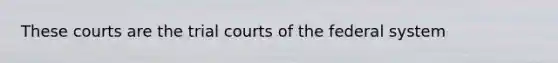 These courts are the trial courts of the federal system