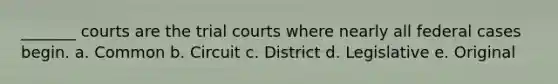 _______ courts are the trial courts where nearly all federal cases begin. a. Common b. Circuit c. District d. Legislative e. Original