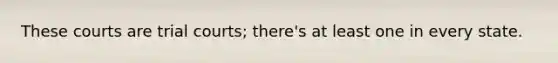These courts are trial courts; there's at least one in every state.