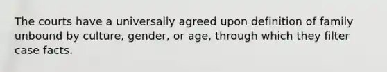 The courts have a universally agreed upon definition of family unbound by culture, gender, or age, through which they filter case facts.