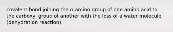 covalent bond joining the α-amino group of one amino acid to the carboxyl group of another with the loss of a water molecule (dehydration reaction).