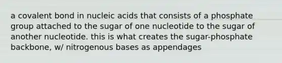 a covalent bond in nucleic acids that consists of a phosphate group attached to the sugar of one nucleotide to the sugar of another nucleotide. this is what creates the sugar-phosphate backbone, w/ nitrogenous bases as appendages