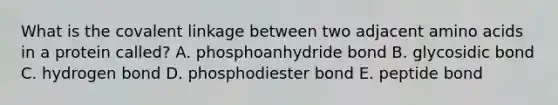 What is the covalent linkage between two adjacent amino acids in a protein called? A. phosphoanhydride bond B. glycosidic bond C. hydrogen bond D. phosphodiester bond E. peptide bond