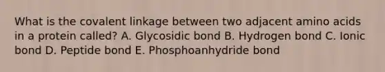 What is the covalent linkage between two adjacent amino acids in a protein called? A. Glycosidic bond B. Hydrogen bond C. Ionic bond D. Peptide bond E. Phosphoanhydride bond