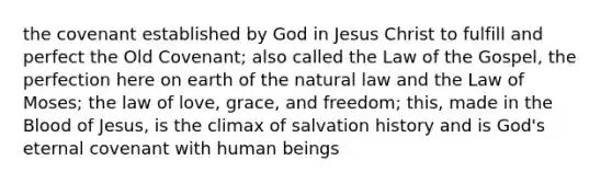 the covenant established by God in Jesus Christ to fulfill and perfect the Old Covenant; also called the Law of the Gospel, the perfection here on earth of the natural law and the Law of Moses; the law of love, grace, and freedom; this, made in the Blood of Jesus, is the climax of salvation history and is God's eternal covenant with human beings