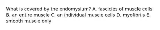 What is covered by the endomysium? A. fascicles of muscle cells B. an entire muscle C. an individual muscle cells D. myofibrils E. smooth muscle only