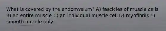 What is covered by the endomysium? A) fascicles of muscle cells B) an entire muscle C) an individual muscle cell D) myofibrils E) smooth muscle only